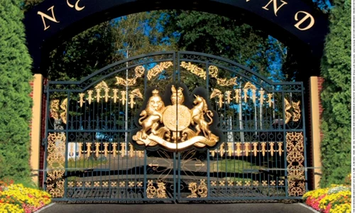 neverland vanduta jpeg