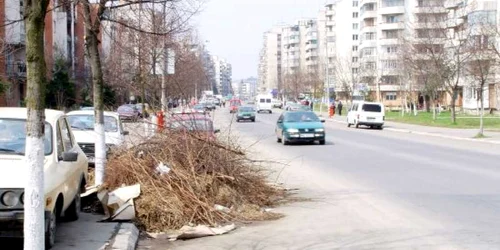Curăţenia de primăvară continuă până la finele lunii
