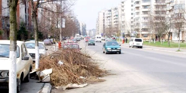 Curăţenia de primăvară continuă până la finele lunii