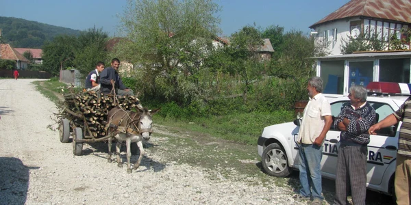 Măgarii vor fi „pensionaţi” după ce gazul va lua locul lemnelor cărate cu căruţa din pădure