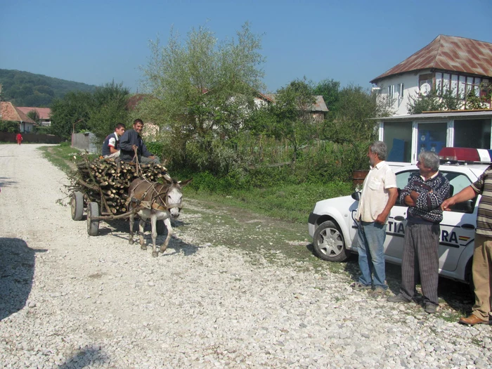 Măgarii vor fi „pensionaţi” după ce gazul va lua locul lemnelor cărate cu căruţa din pădure