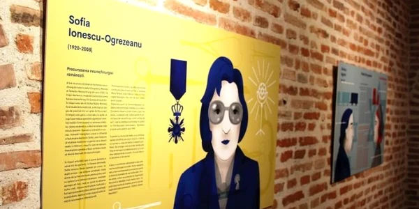 expozitie