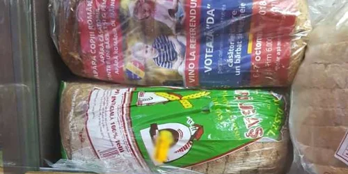 paine pro referendum oradea foto adevarul