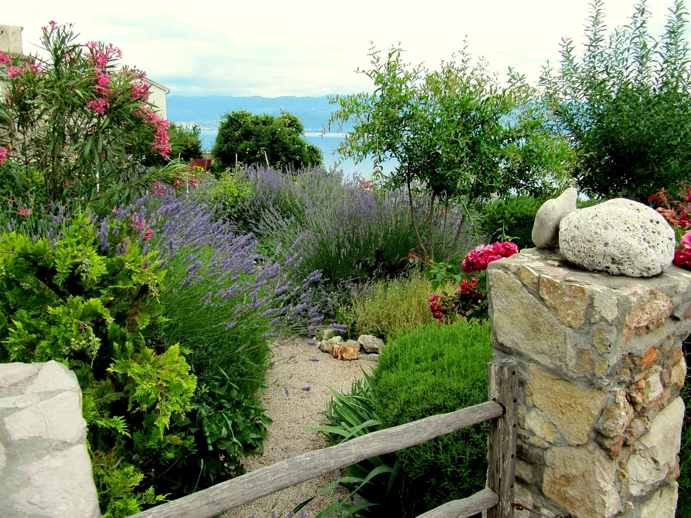 plante decorative pe care ar trebui să le tunzi în martie - Foto: Pixabay