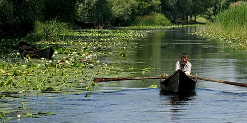 delta dunarii spiridon manoliu