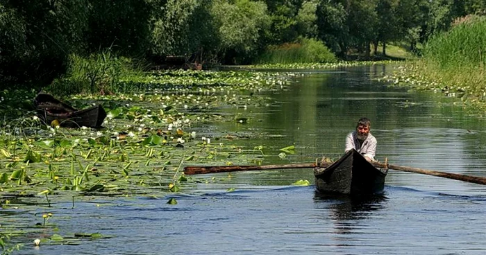 1 septembrie marchează ziua rezervaţiei Deltei Dunării FOTO Spiridon Manoliu / Wikimedia Commons