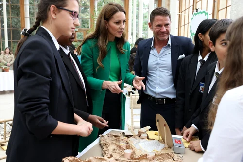 2 profimedia 0637938691 jpg jpeg