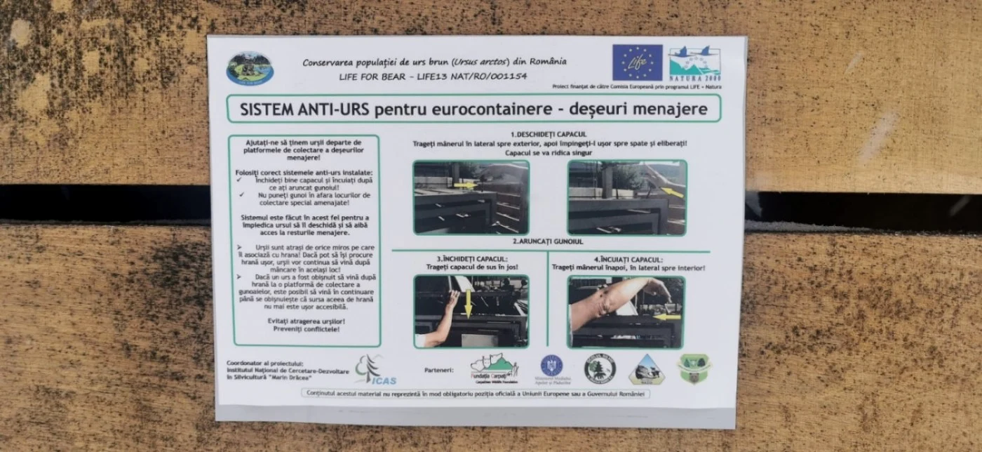 pubele gunoi anti rus busteni foto amator