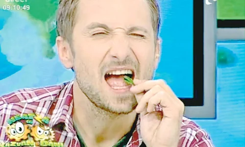 dani otil jpeg