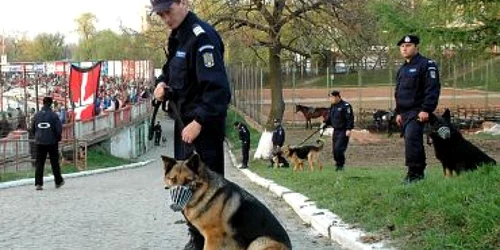 Satu Mare: Peste 80 de jandarmi în misiuni la manifestările din acest weekend