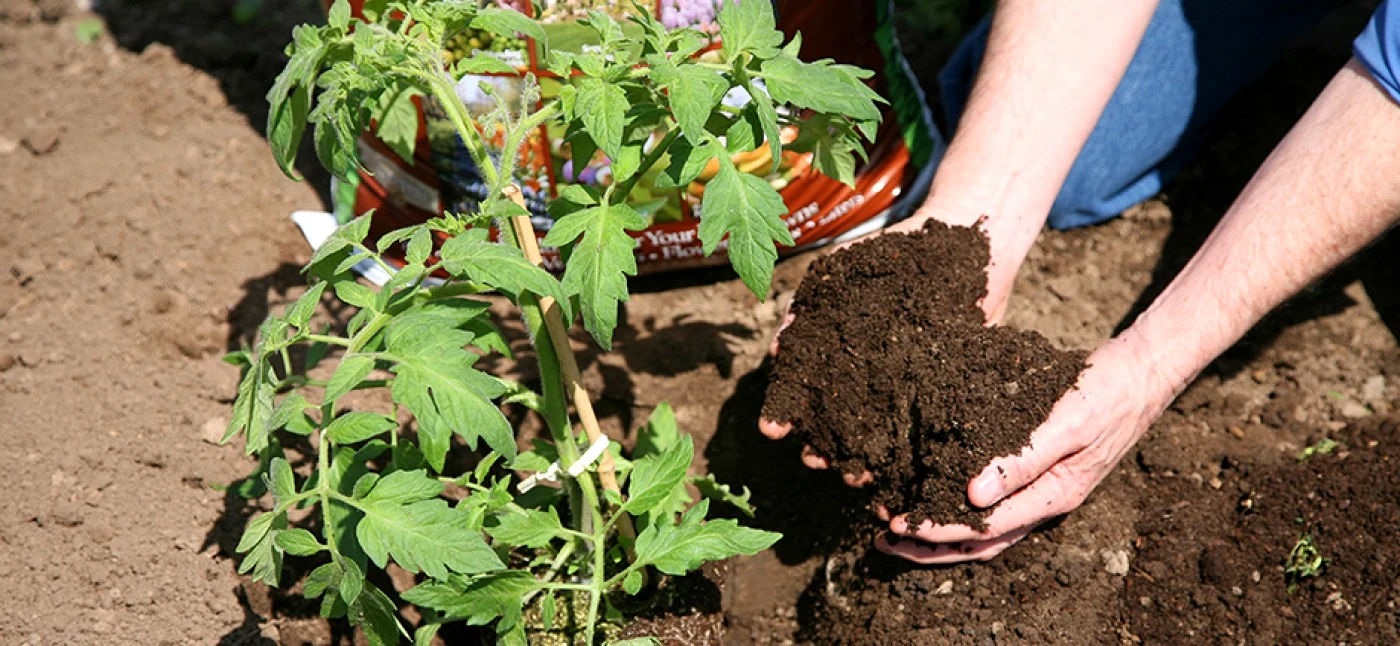 Cel mai bun compost