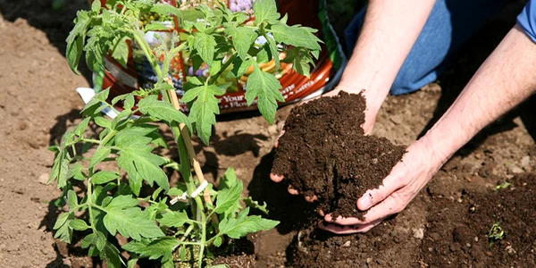 cel mai bun compost 