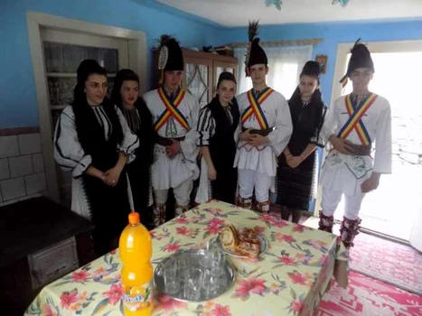 stropit rasinari