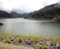 lacul gura apelor retezat foto daniel guta adevarul