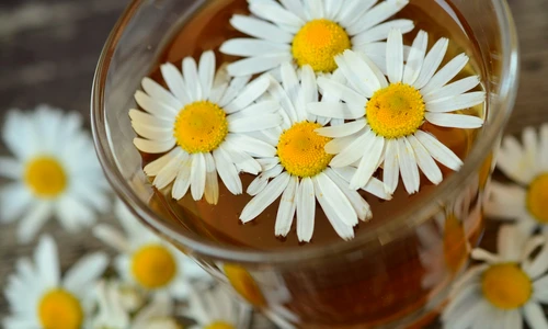 1 75511 original jpg jpeg