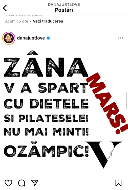 Fotografia postată de Dana Budeanu pe Instagram 