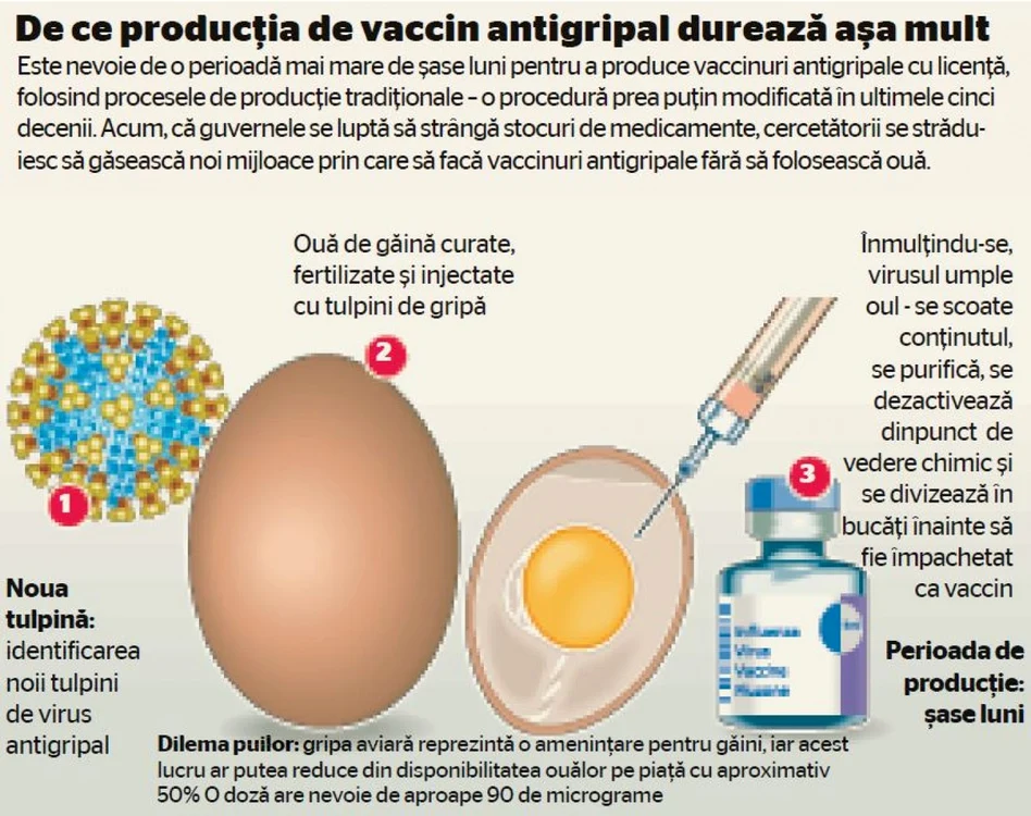 Infografie vaccin