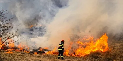 incendiu teren agricol