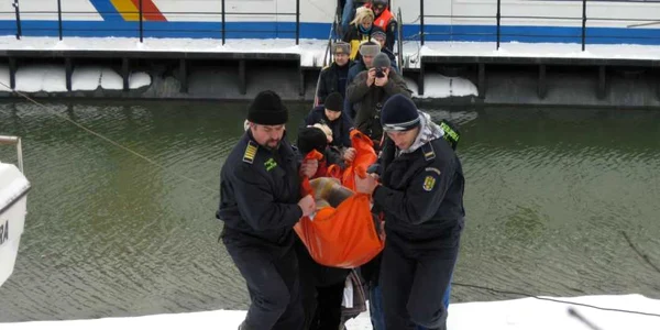 Nicoleta Ciubotaru a fost adusă la Brăila de poliţiştii de frontieră