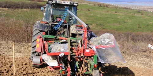 Un amarastean care oferea fictiv tractoare ungurilor a fost arestat