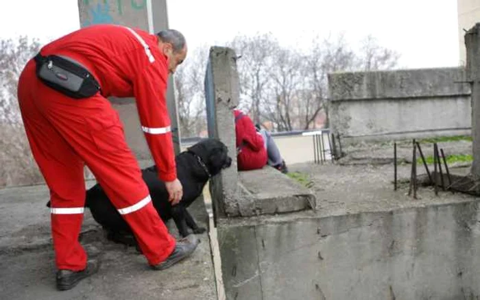 Craiova: Exerciţiile presupun tehnici speciale, pe care câinii să le deprindă. 