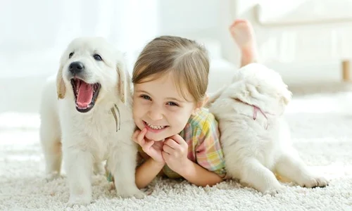 1 shutterstock 337964798 jpg jpeg