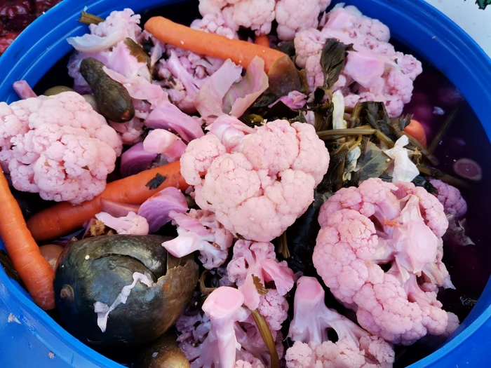 Ionuț Crăciun se gândește să investească într-o linie de procesare pentru conserve FOTO: A.M.