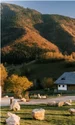 matca hotel facebook1 jpeg