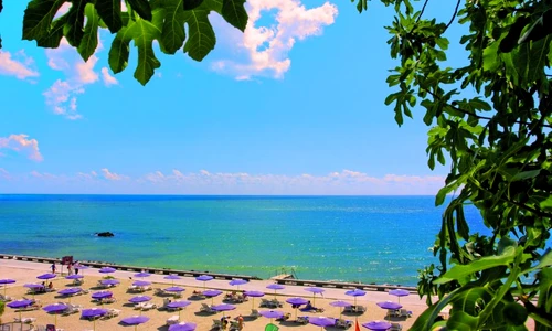 1 48713 original jpg jpeg