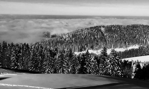 10897088 10153042334653804 9085585011730010979 n jpeg