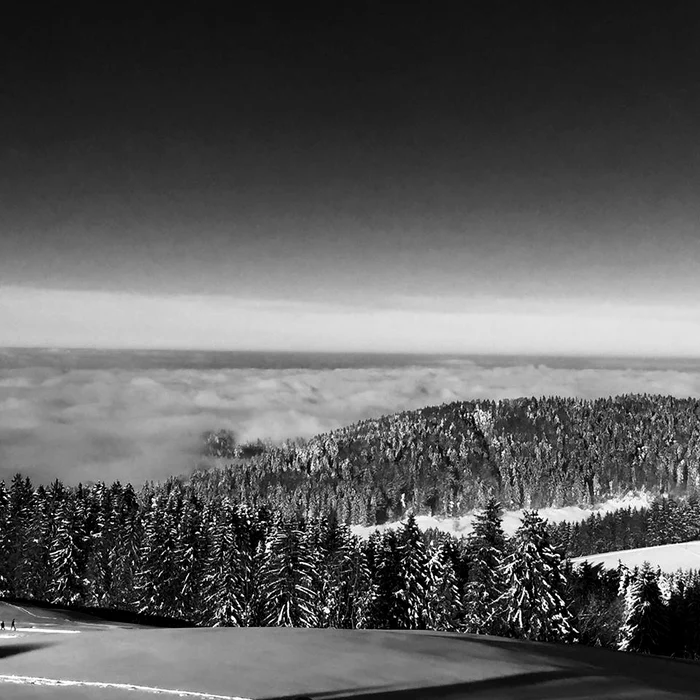 10897088 10153042334653804 9085585011730010979 n jpeg