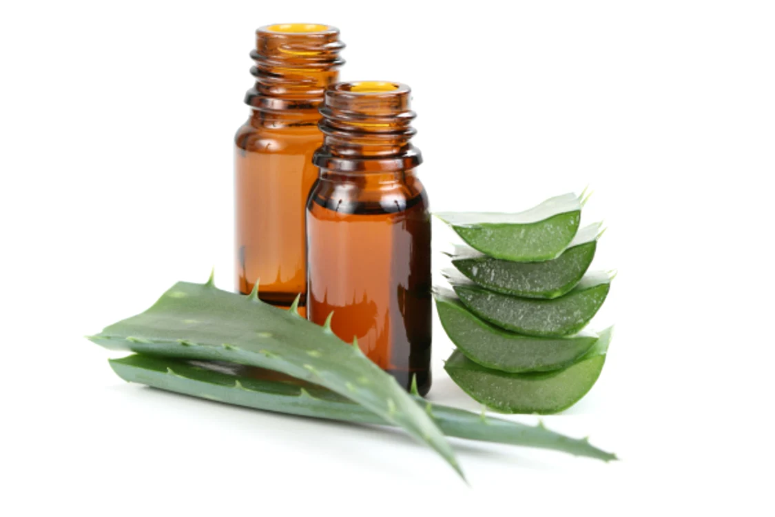 
    Aloe vera are efecte antiinflamatoare şi ajută în tratarea ulcerului, colitei, constipaţiei.www.clicksanatate.ro  