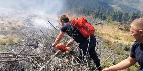 incendiu sureanu pompieri