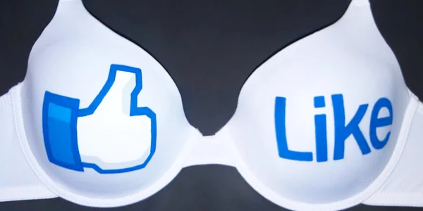 like foto engadget