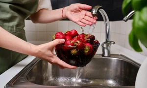 pesticide jpg