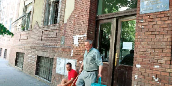 VIDEO Căminul groazei, seră pentru canabis