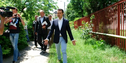 spatii verzi