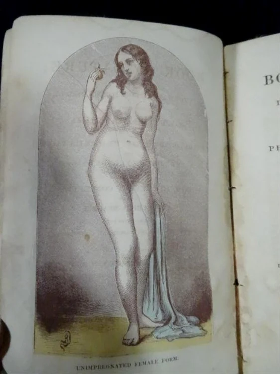 „Cartea naturii”, scrisă în anul 1861 de americanul James Asthon, autodeclarat profesor de Fiziologie Sexuală, anunţa că această carte reprezintă modalitatea de a le oferi informaţii tinerilor care se gândesc să se căsătorească, despre filosofia procreării şi relaţiile sexuale, arătând cum să evite concepţia şi procrearea nedorită. FOTO liveauctioneers.com