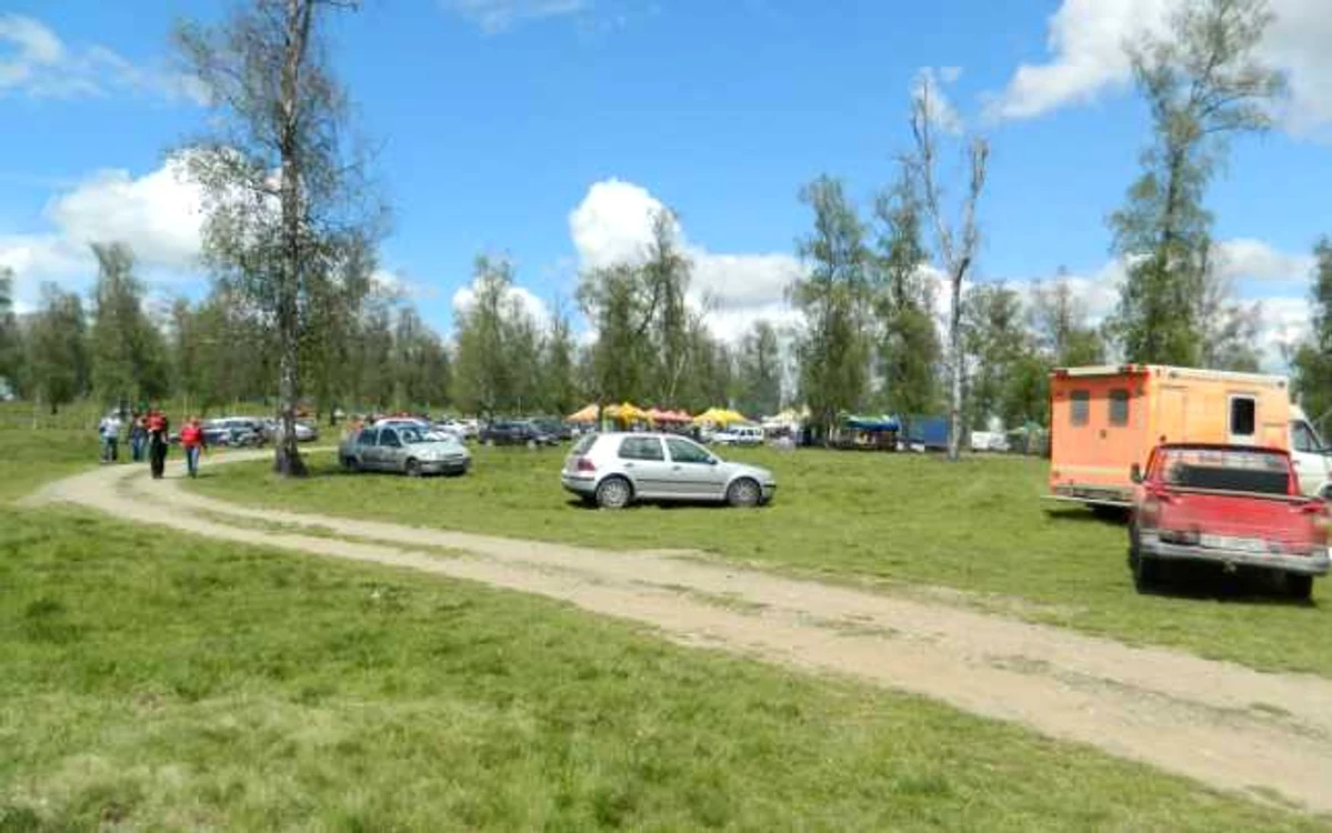 festival poiana narciselor