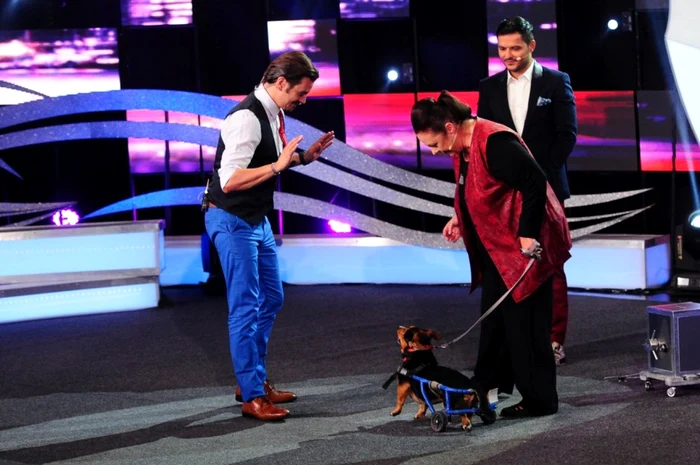 ham talent foto antena 1