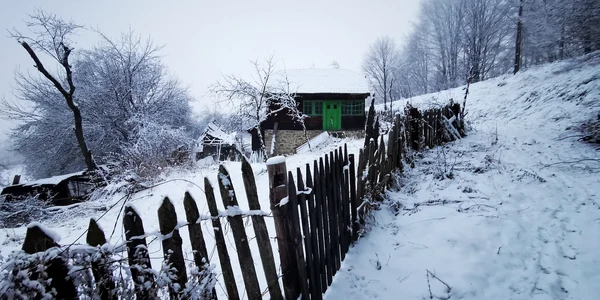 Satul Vadu Dobrii  Foto Daniel Guță  ADEVĂRUL (47) jpg