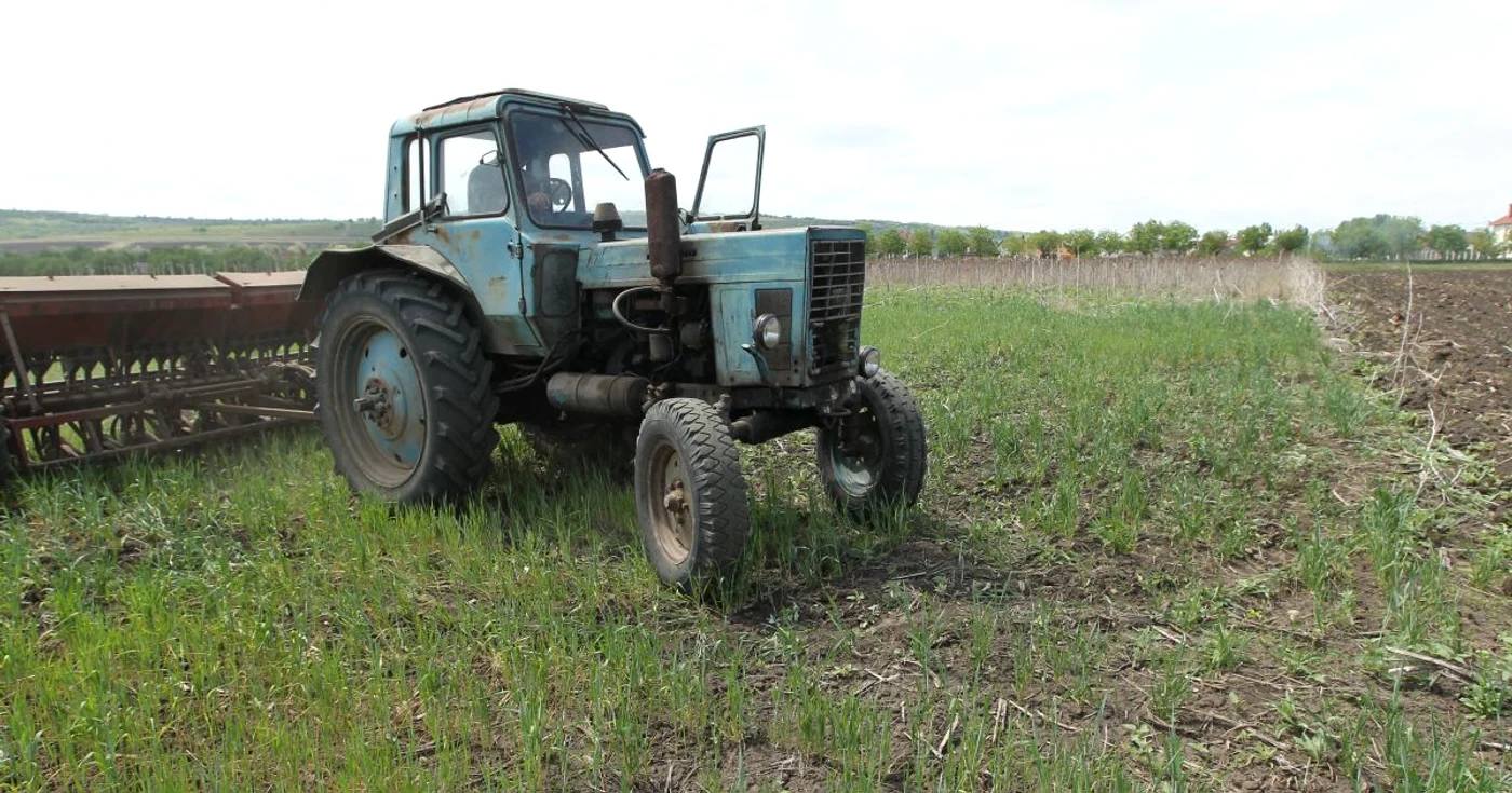 Sectorul agrar a contribuit cel mai mult la creşterea economică din 9 luni ale anului 2013 FOTO Tudor Iovu