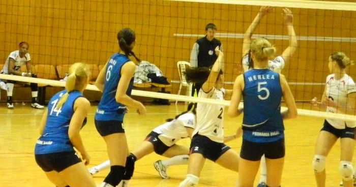 volei