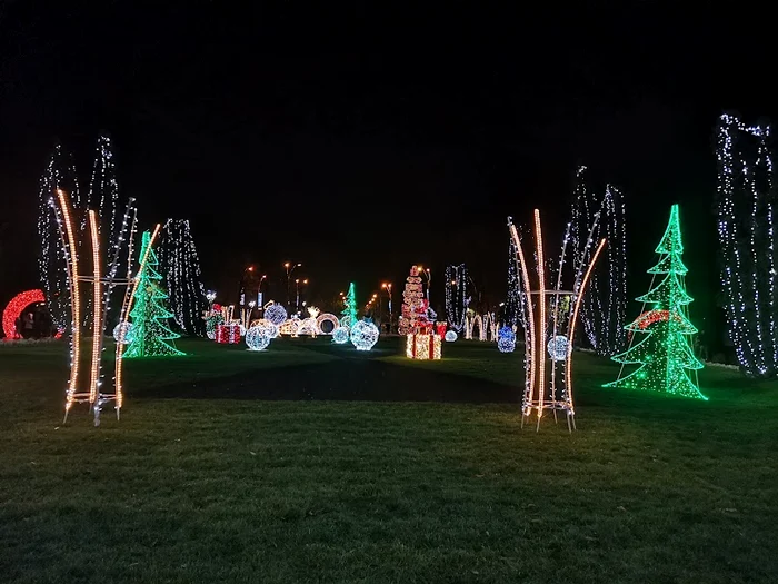 Parcuri gătite în straie de sărbătoare FOTO: C.Mazilu