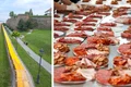 masa care uneste alba iulia jpg
