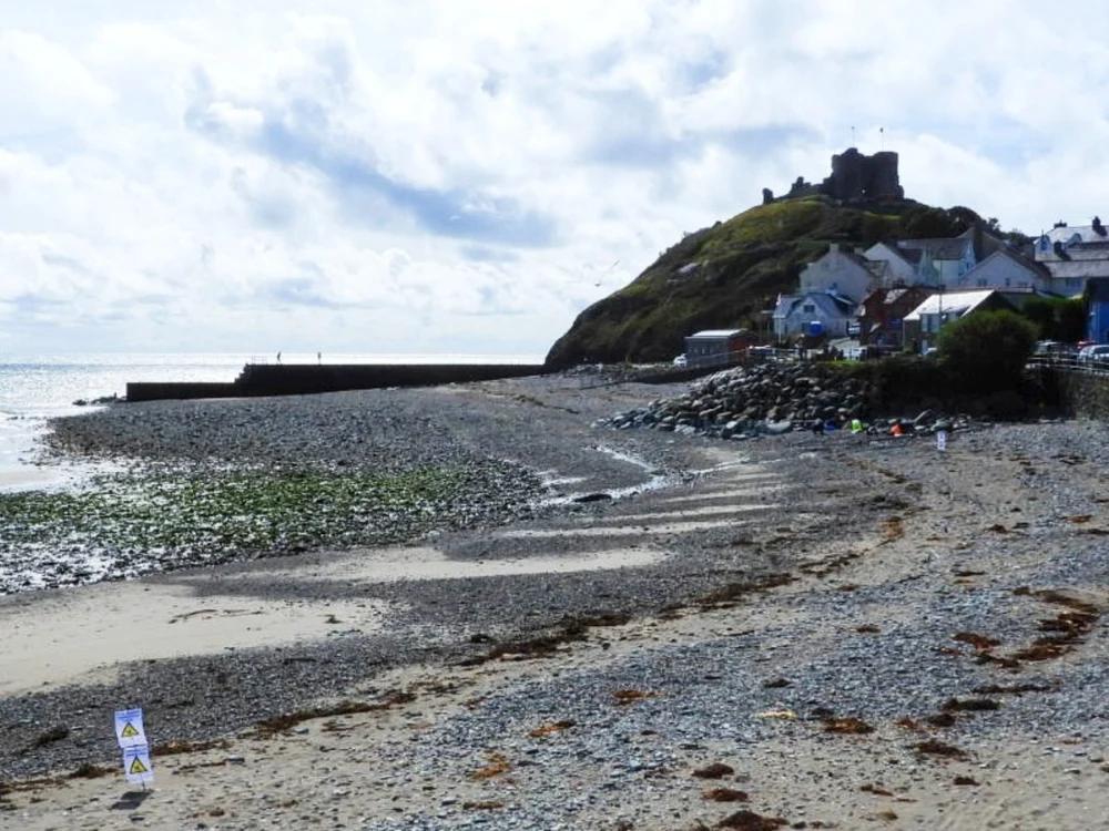 Descoperire uimitoare pe o plajă. Resturile unei creaturi misterioase au ajuns pe țărm