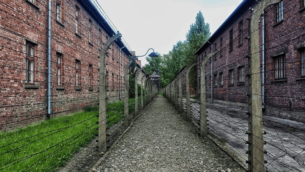 Putin face propagandă de Ziua Holocaustului și reia acuzațiile de „nazism” la adresa Ucrainei. Mesajul lui Zelenski