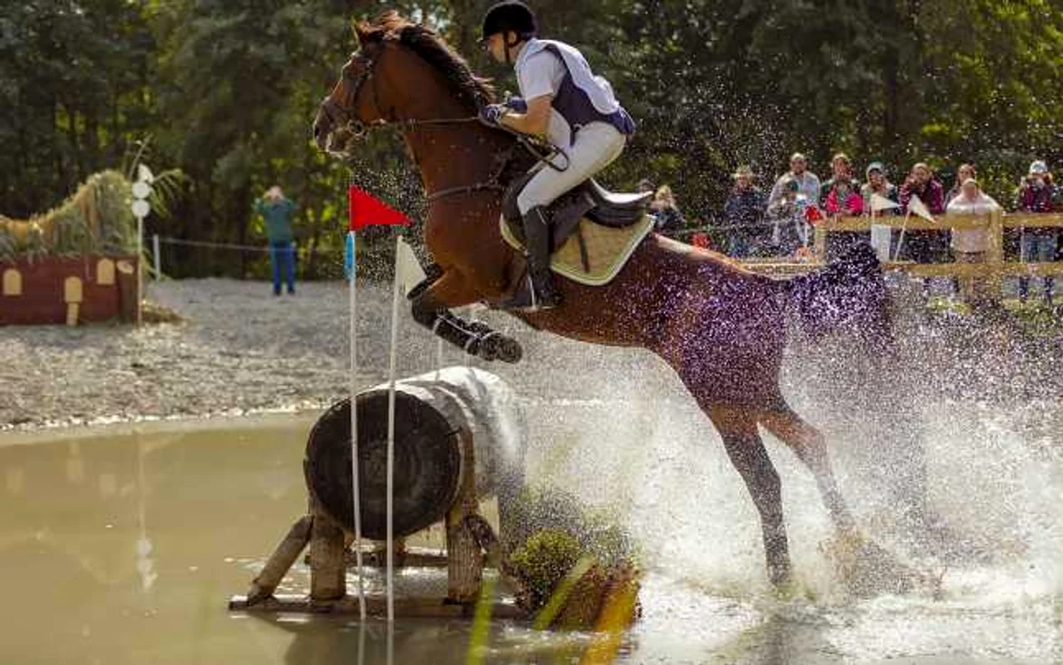 Karpatia Horse Show 