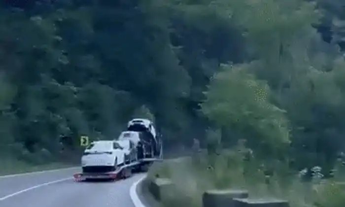 GIF platforma valea oltului