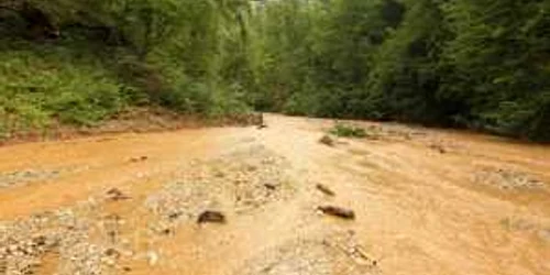 Inundații în Banat